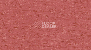 Линолеум Gerflor Mipolam Accord 0365 RED SEA фото 1 | FLOORDEALER